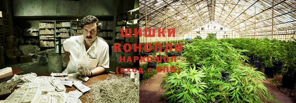 прущие крисы Остров