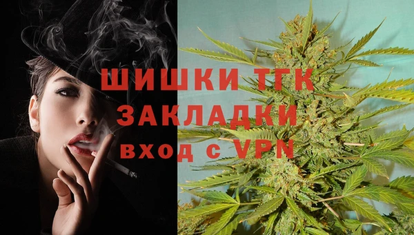 спайс Алзамай