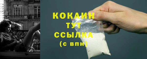 индика Осташков
