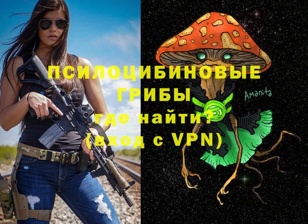 спайс Алзамай